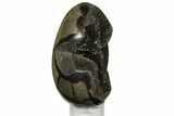 Bargain, Septarian Dragon Egg Geode - Black Crystals #172808-2